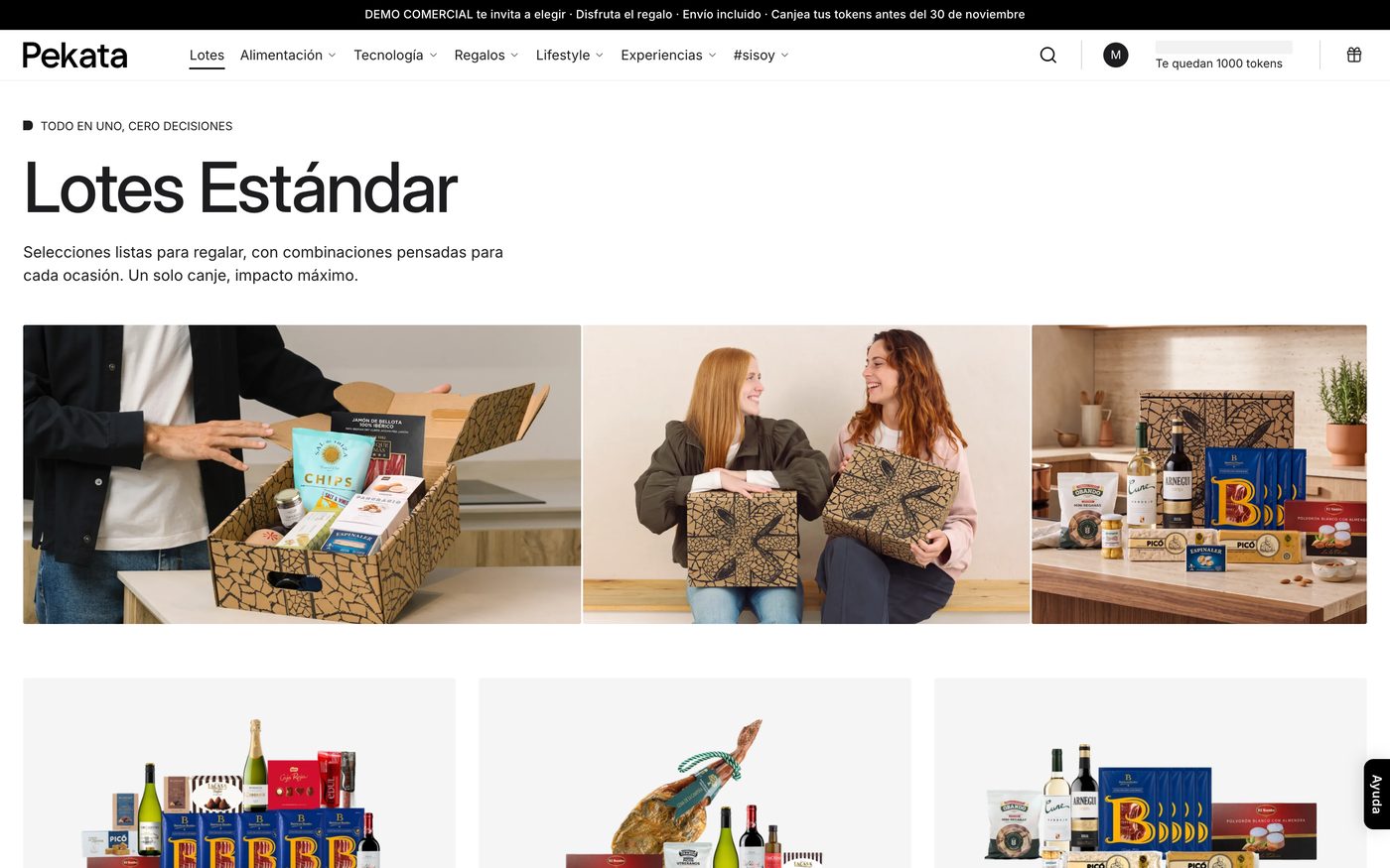 Els lots configurats de la campanya, per comparar i triar-ne un